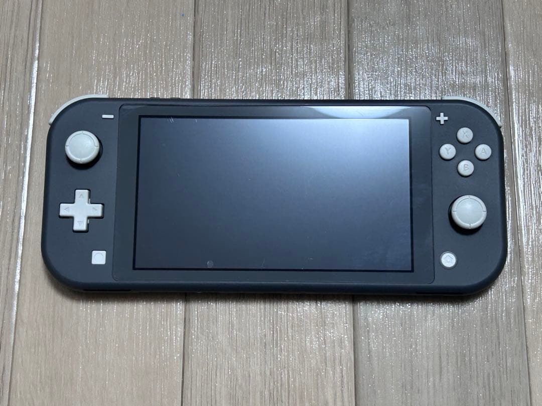 Switch Light　グレー　充電器＆箱あり