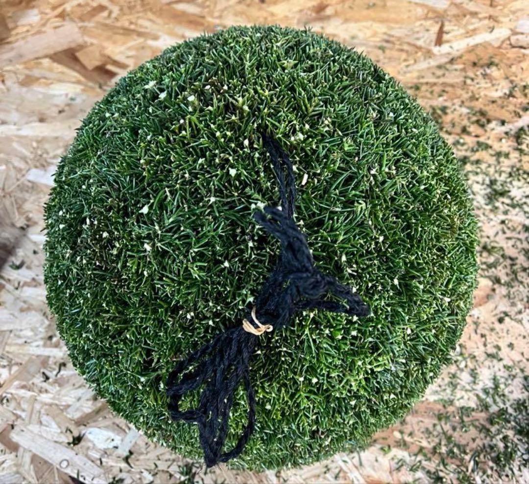 杉玉　約35センチ×2個‼️お客様ご注文品♪