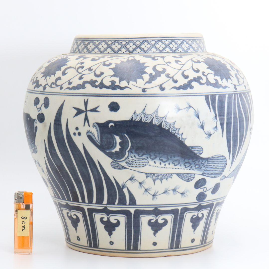 中国 青花魚藻文大壺 壷　C294