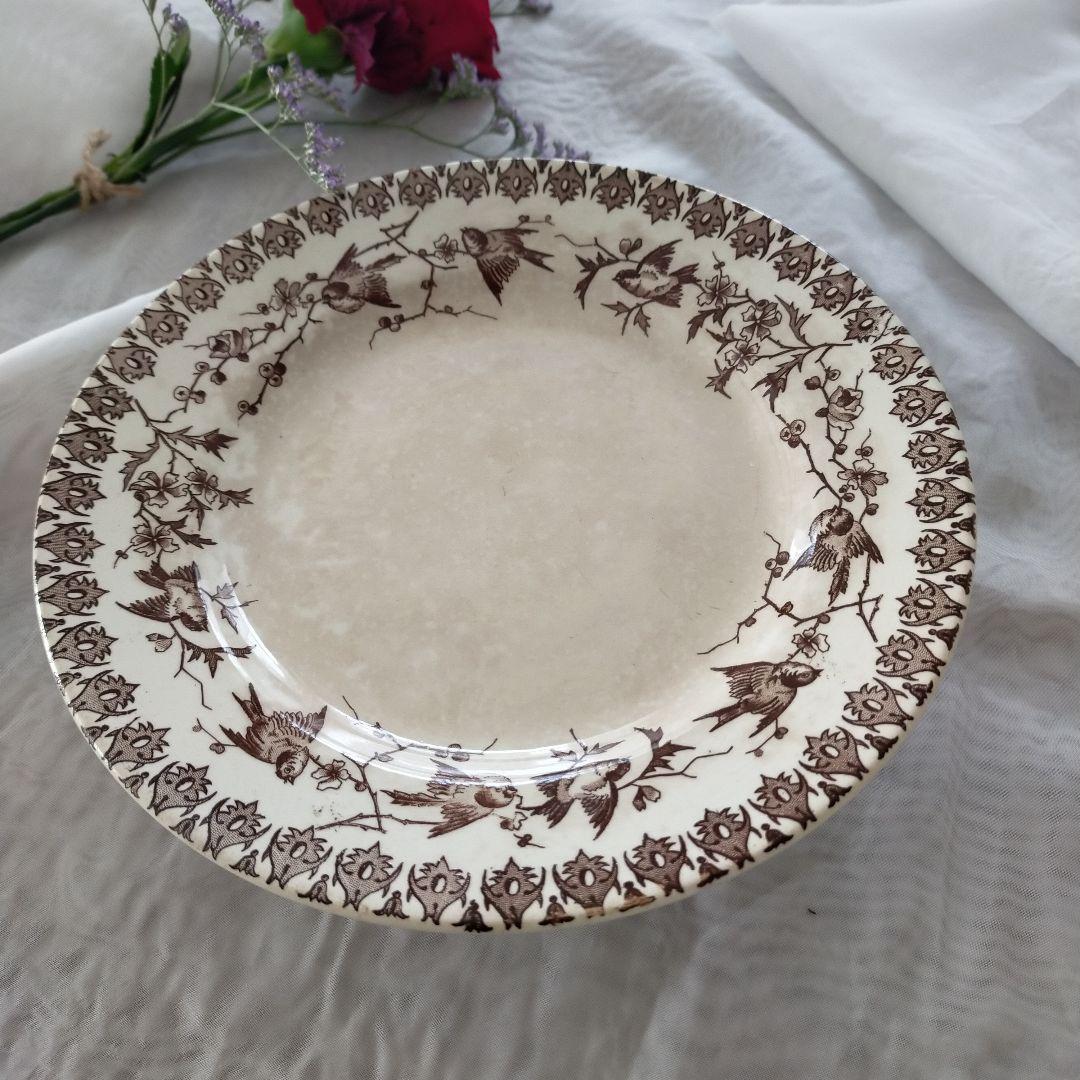 【希少】ショワジールロワ　燕　枯れ色ブラウン　コンポティエ