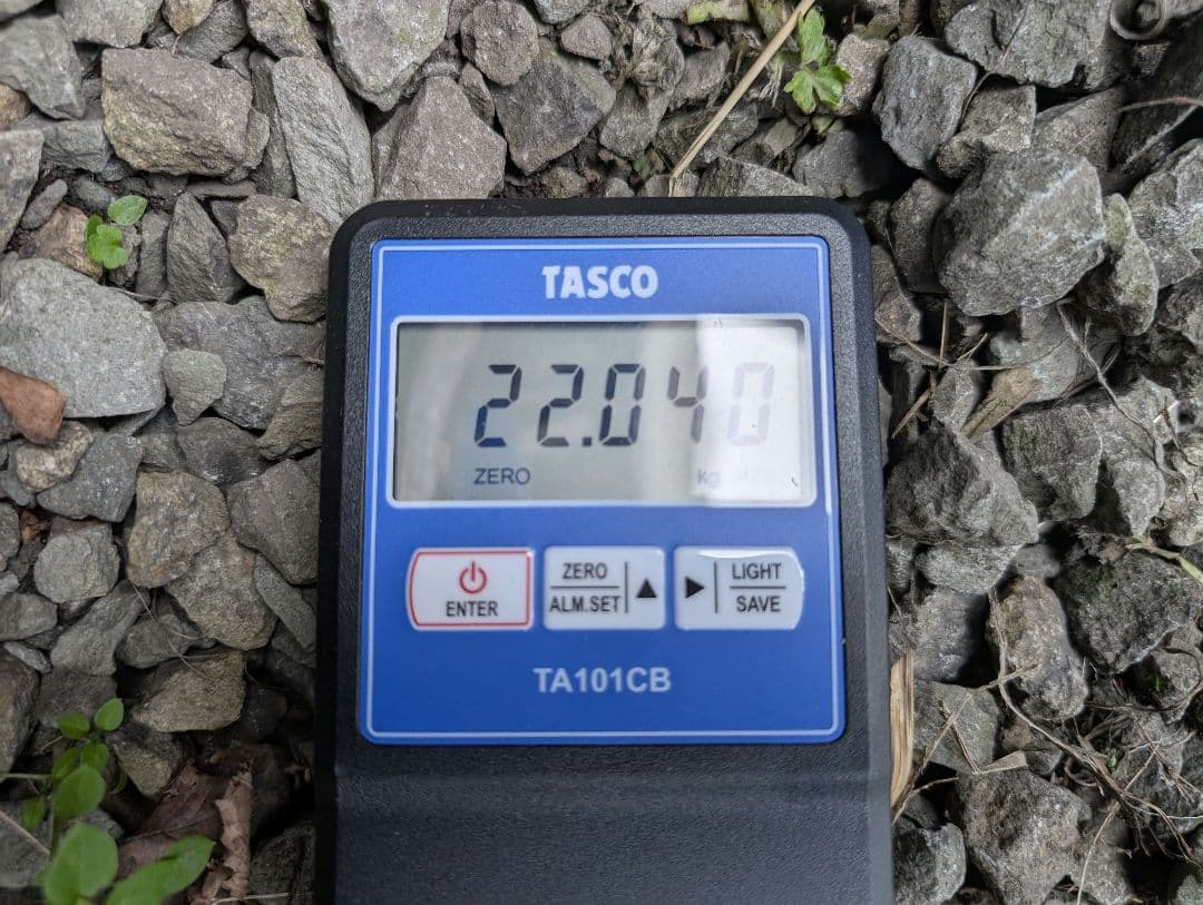 蝦夷鹿の落ち角,「※31本セット」 ,※5万円から毎日お値下げします。