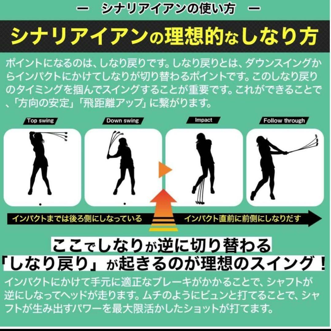 SHINKAI IRON 7番 ゴルフクラブ シナリアイアン