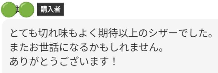 切れ味と抜け感の良い理美容師プロ用セニングシザー10%人気の溝無し❊すきばさみ❊