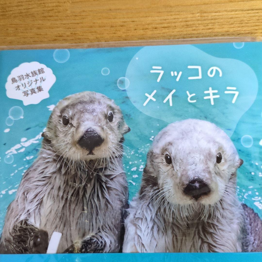 鳥羽水族館オリジナル写真集　ラッコのメイとキラ　未使用