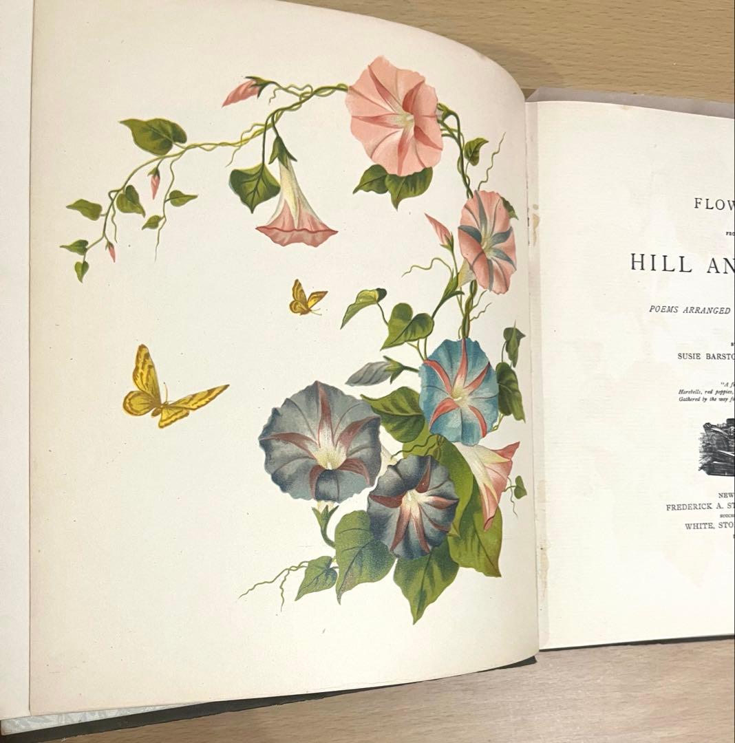 NO.322古書 アンティーク洋書 絵本 ビクトリアン 詩集 ボタニカルアート