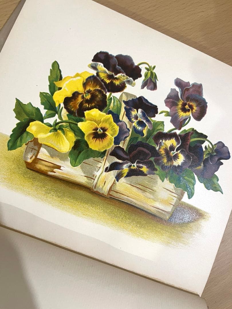 NO.322古書 アンティーク洋書 絵本 ビクトリアン 詩集 ボタニカルアート