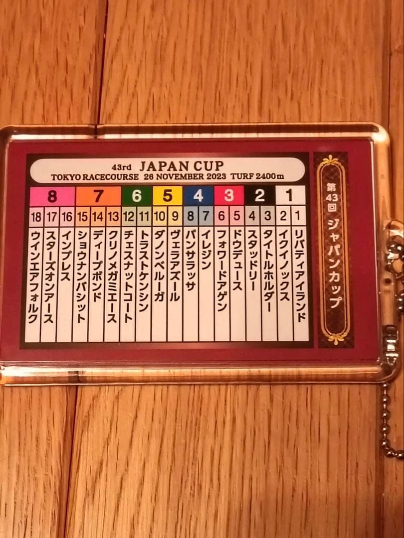 イクイノックス2023ジャパンカップ　ルメール直筆サイン　馬券ホルダー　馬券　鬣
