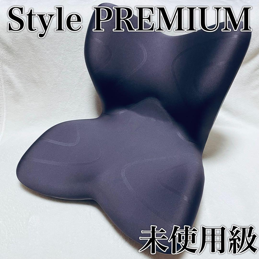 【未使用級】MTG Style PREMIUM/座椅子/スタイルプレミアム/骨盤