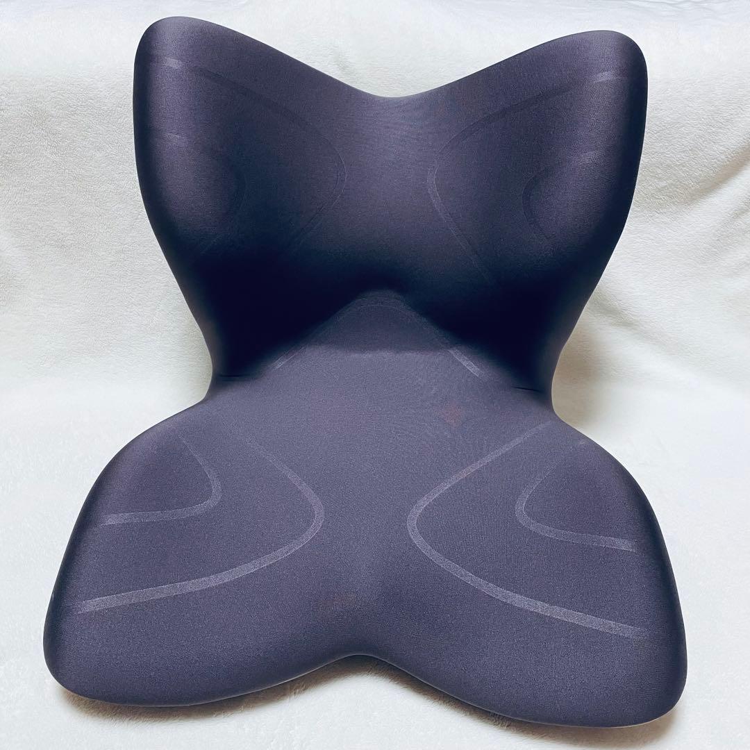 【未使用級】MTG Style PREMIUM/座椅子/スタイルプレミアム/骨盤