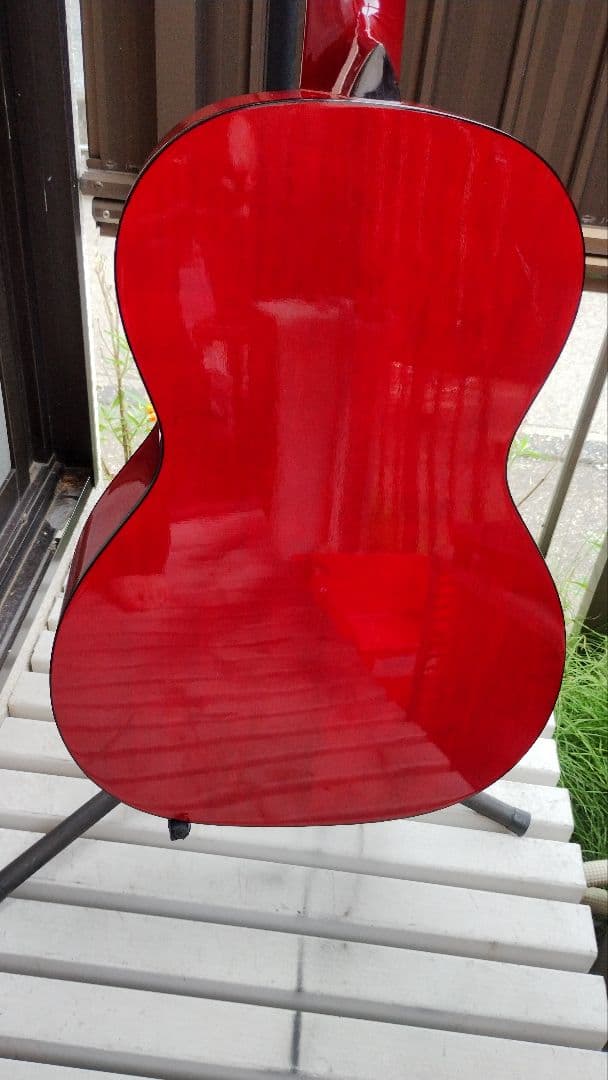 Takamine T-Series ニューヨーカー Wピックアップ付エレアコ