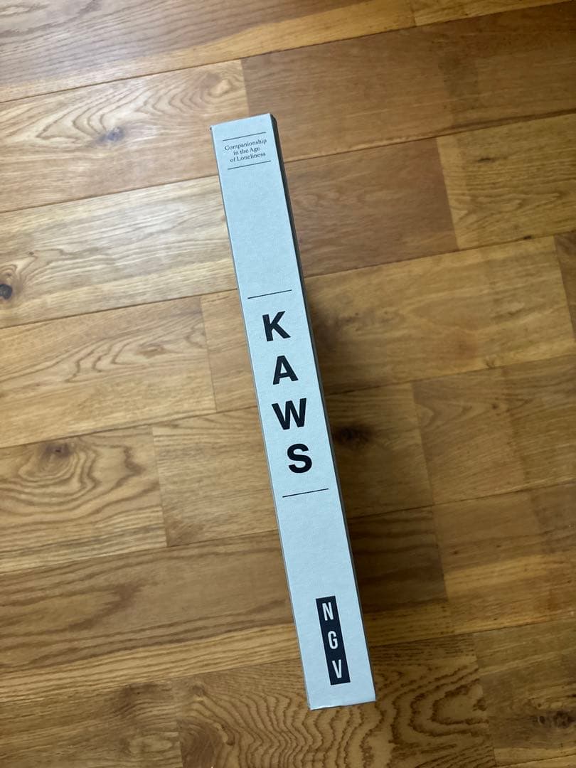 KAWS exibition art book 2冊セット