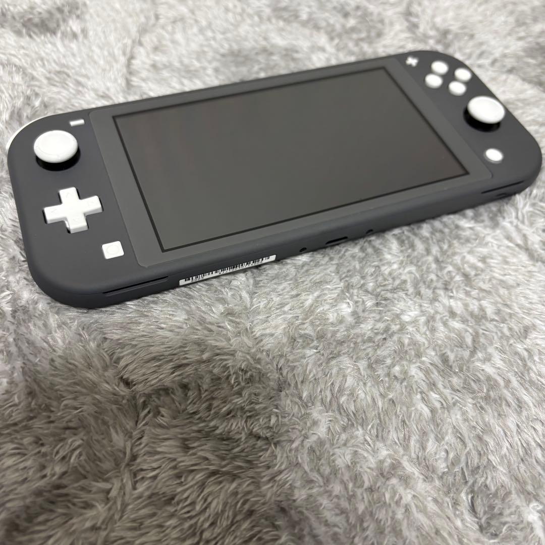 Nintendo Switch Lite グレー 本体&ケース