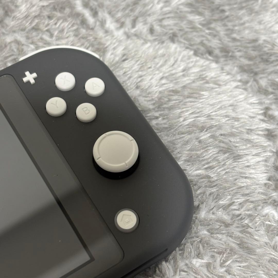 Nintendo Switch Lite グレー 本体&ケース
