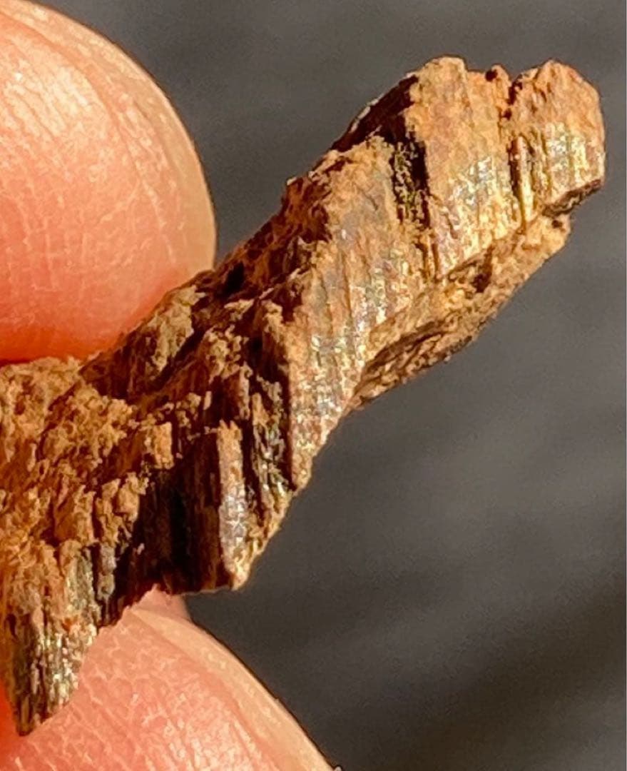 シャム　香木　お香　天然沈香