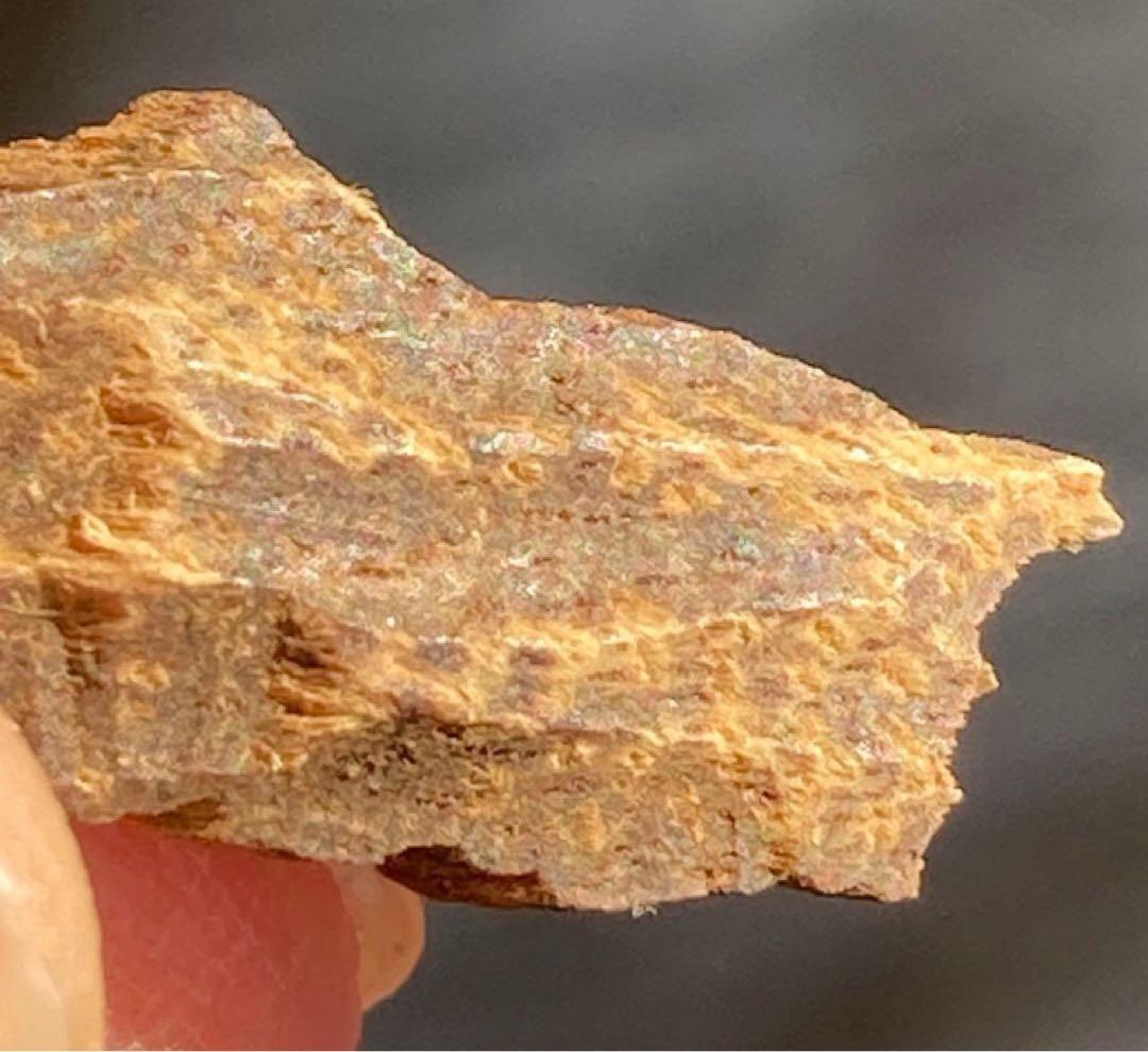 シャム　香木　お香　天然沈香