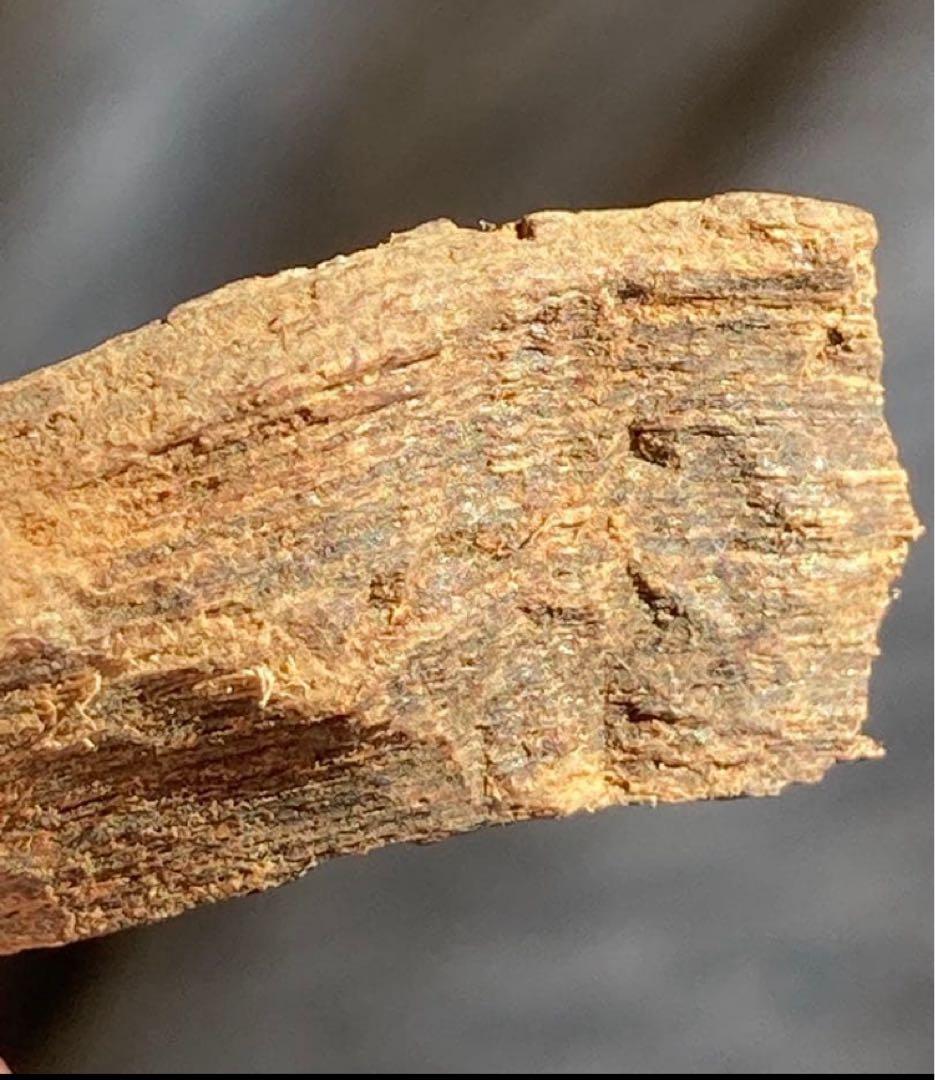 シャム　香木　お香　天然沈香