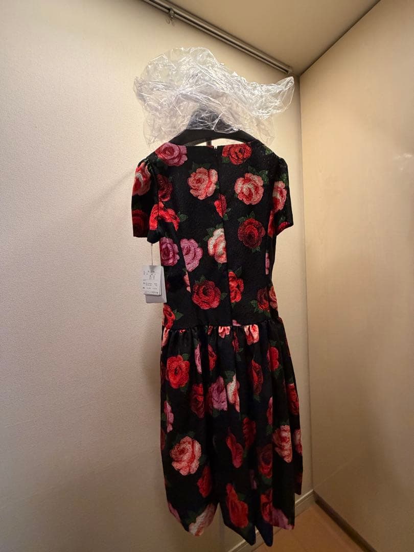 エムズグレイシー⭐︎タグ付き未使用⭐︎カタログ掲載ワンピース38