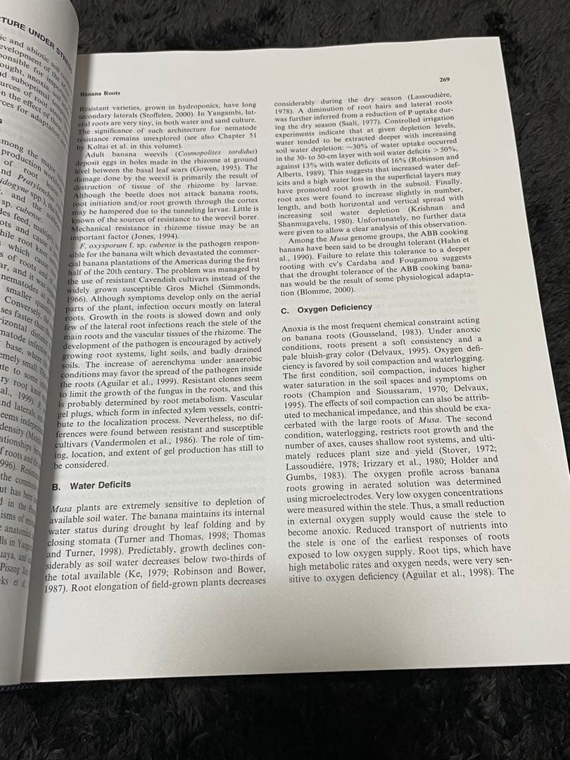 PLANT ROOTS THIRD EDITION REVISED 洋書