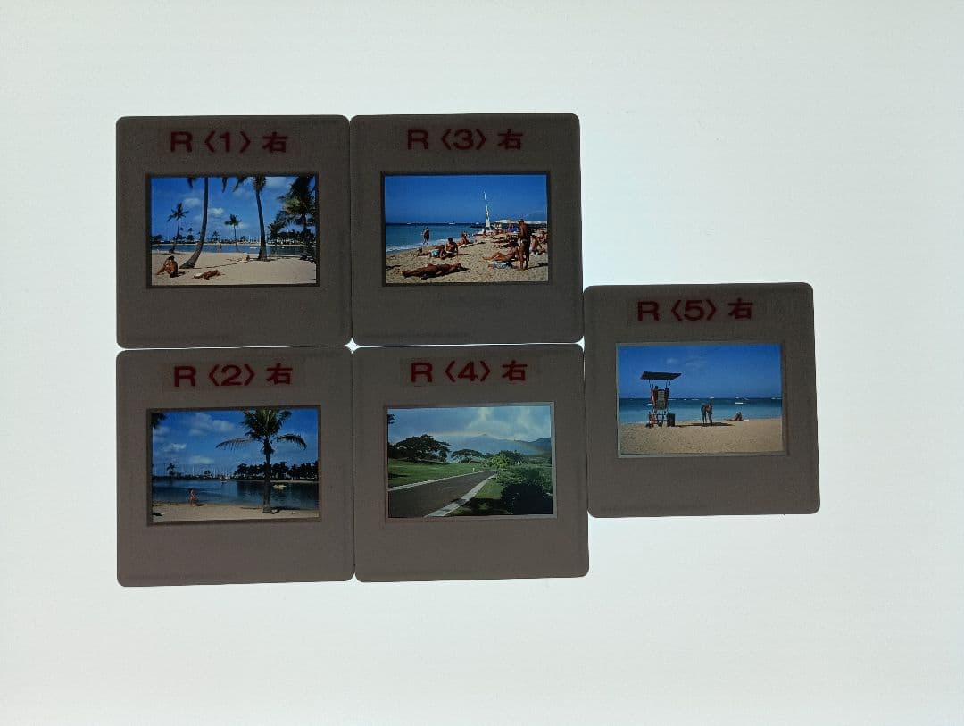 完動品　活眼器　家庭用ワック　OPUS-F