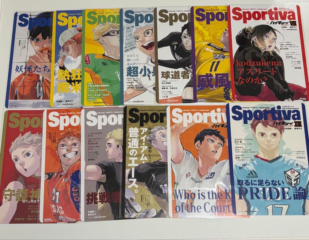 ハイキュー!! 全巻セット 1~45巻 +α イラスト集 小説