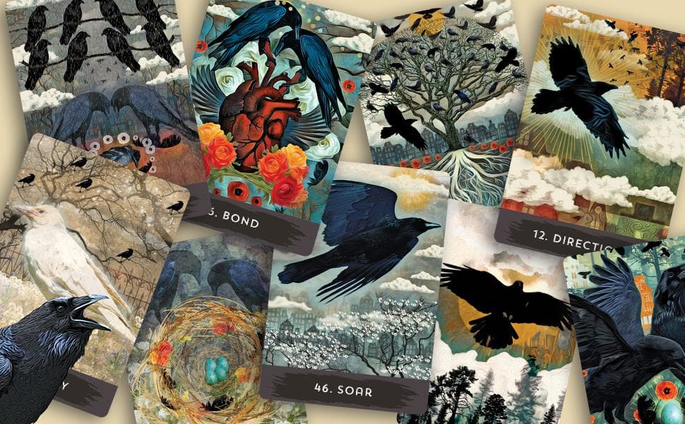 【正規品オラクルカード】世界的な人気デッキ✨入手困難✨都会のカラス達のオラクル