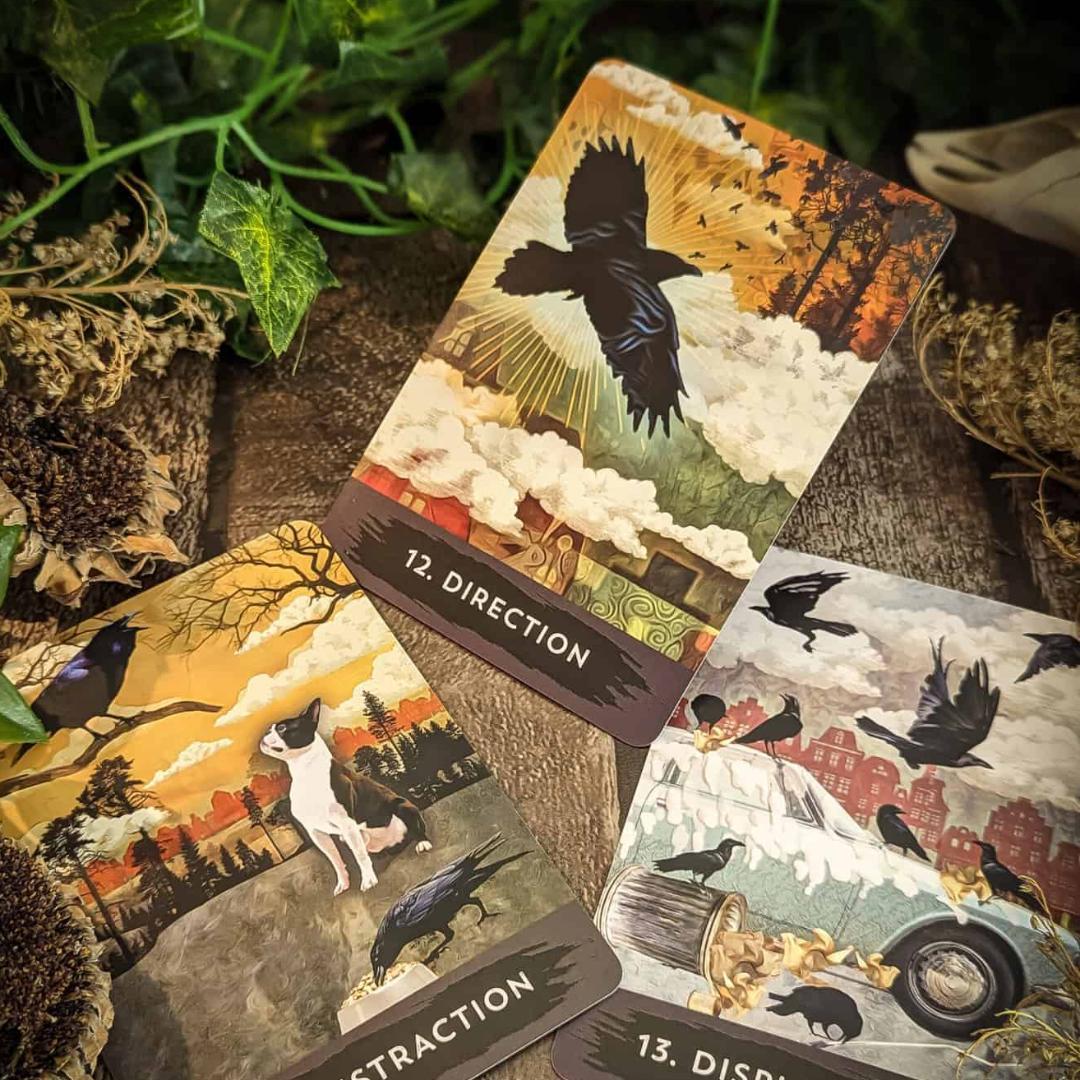 【正規品オラクルカード】世界的な人気デッキ✨入手困難✨都会のカラス達のオラクル