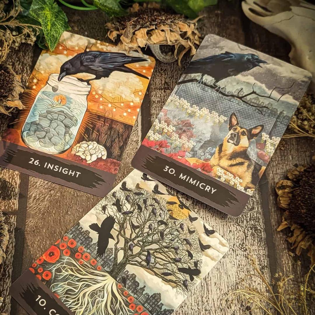 【正規品オラクルカード】世界的な人気デッキ✨入手困難✨都会のカラス達のオラクル