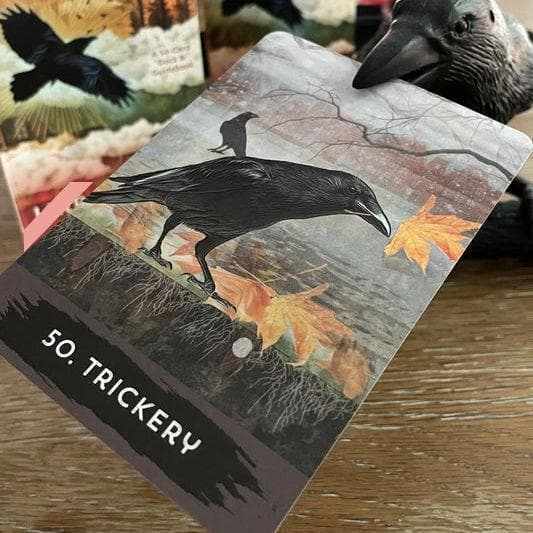 【正規品オラクルカード】世界的な人気デッキ✨入手困難✨都会のカラス達のオラクル