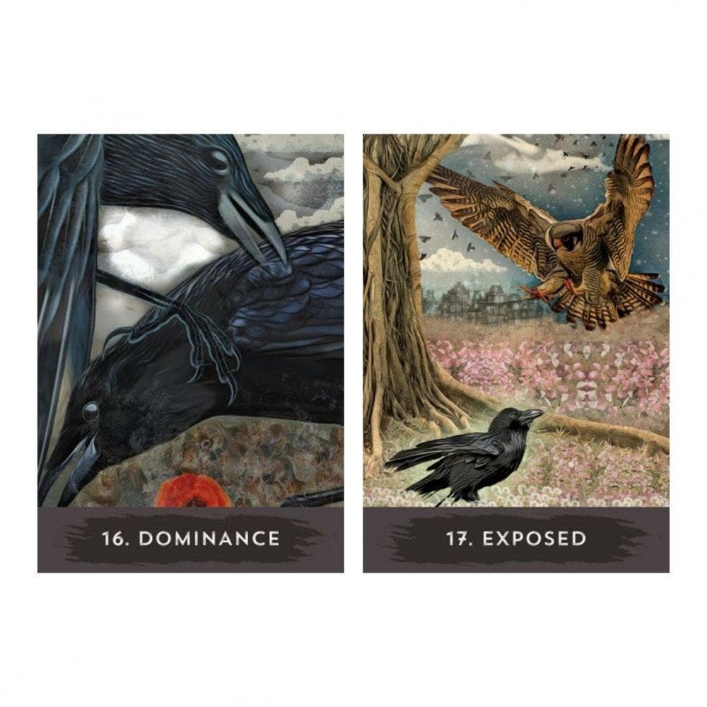 【正規品オラクルカード】世界的な人気デッキ✨入手困難✨都会のカラス達のオラクル