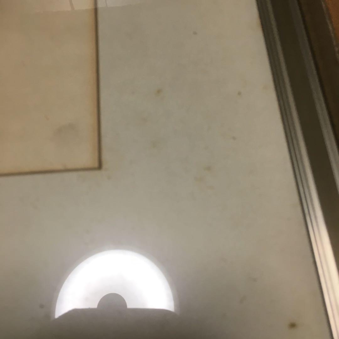 0474　竹本勘一 バラ 1980年 一水会会員