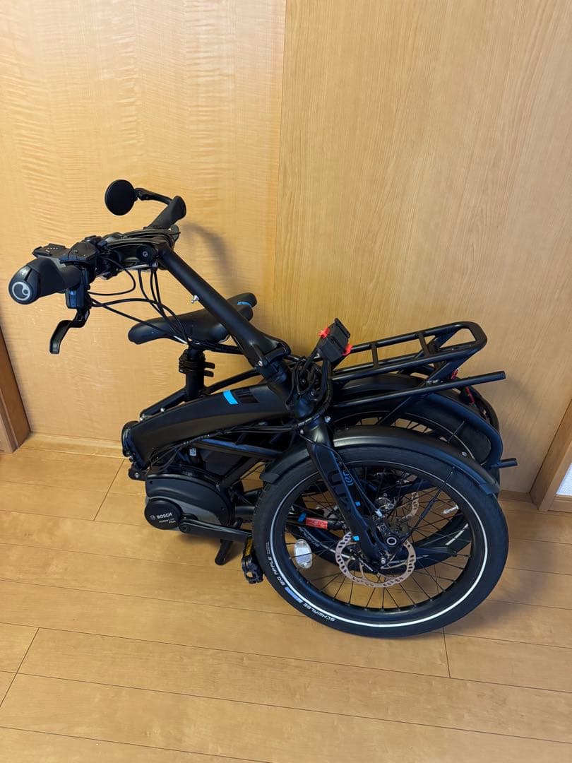 tern Vektron s10 LR 電動自転車(付属品多め)