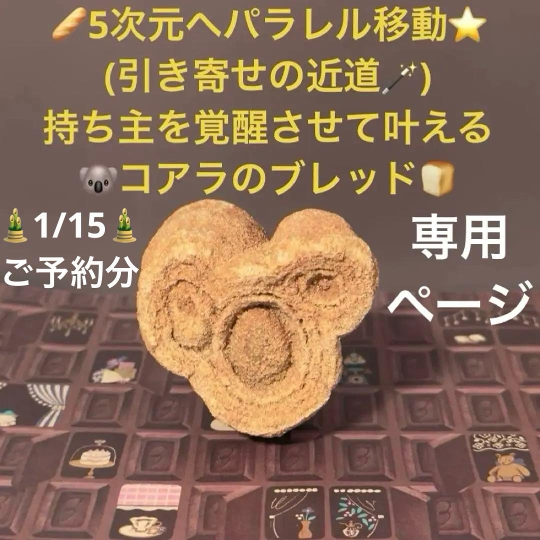 【専用ページ】1/15ご予約分✴︎ 5次元モードへの霊的覚醒を促すブレッド