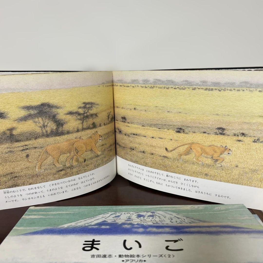 かりのけいこ、かんちがい 、はじめてのかり吉田遠志　動物絵本シリーズ アフリカ