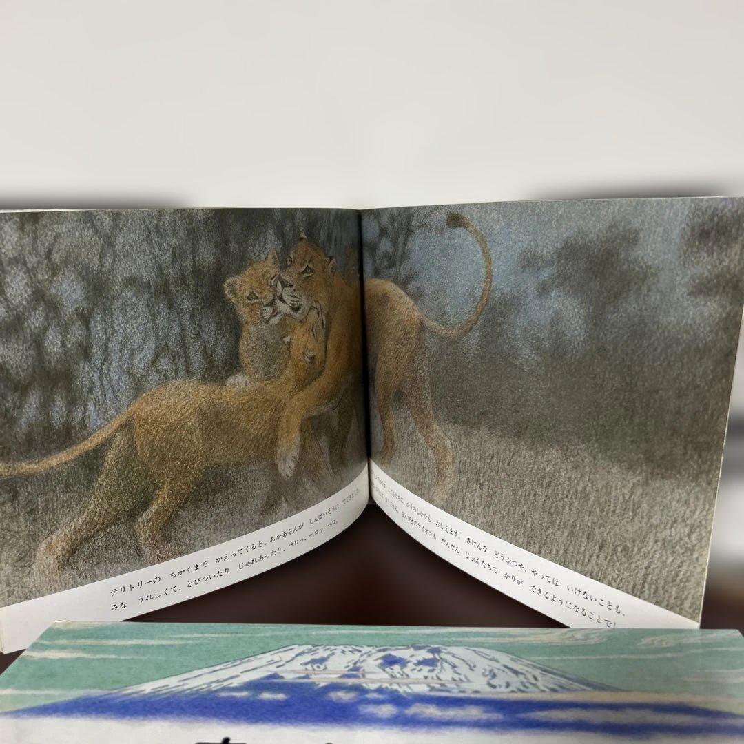 かりのけいこ、かんちがい 、はじめてのかり吉田遠志　動物絵本シリーズ アフリカ