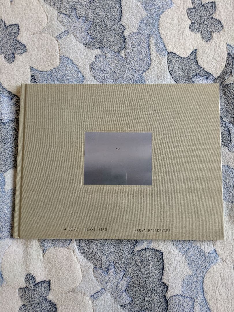 畠山直哉写真集『Ａ ＢＩＲＤ ＢＬＡＳＴ＃１３０』ｒｏｓｈｉｎｂｏｏｋｓ