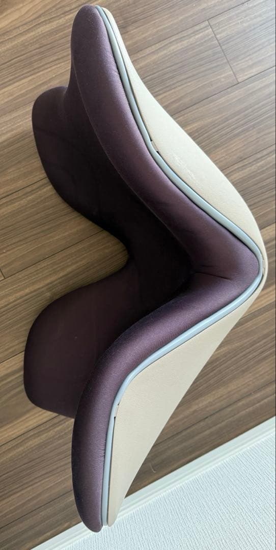 Style Premium スタイルプレミアム 骨盤・姿勢矯正クッション