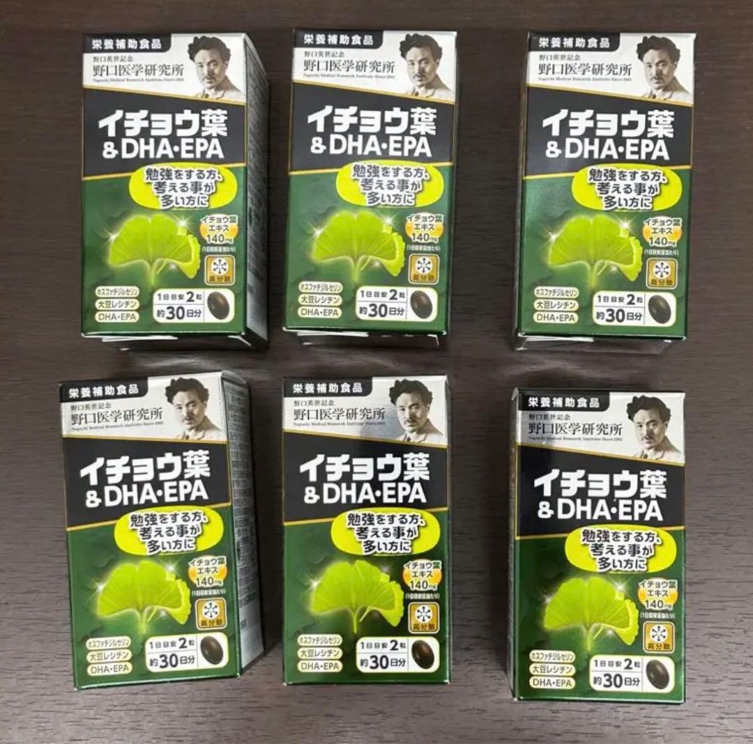 野口医学研究所 イチョウ葉&DHA・EPA 60粒 24個 国内正規品 新品