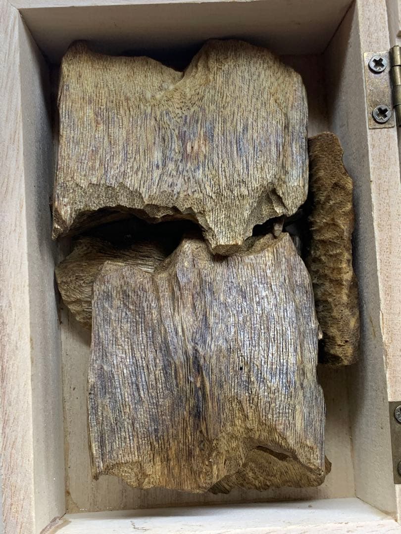 極上伽羅 沈香 香木 重：50g 特別価格