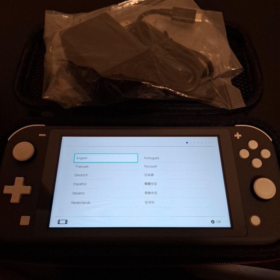 Nintendo Switch Lite 本体 2024年製 充電器付き 箱なし