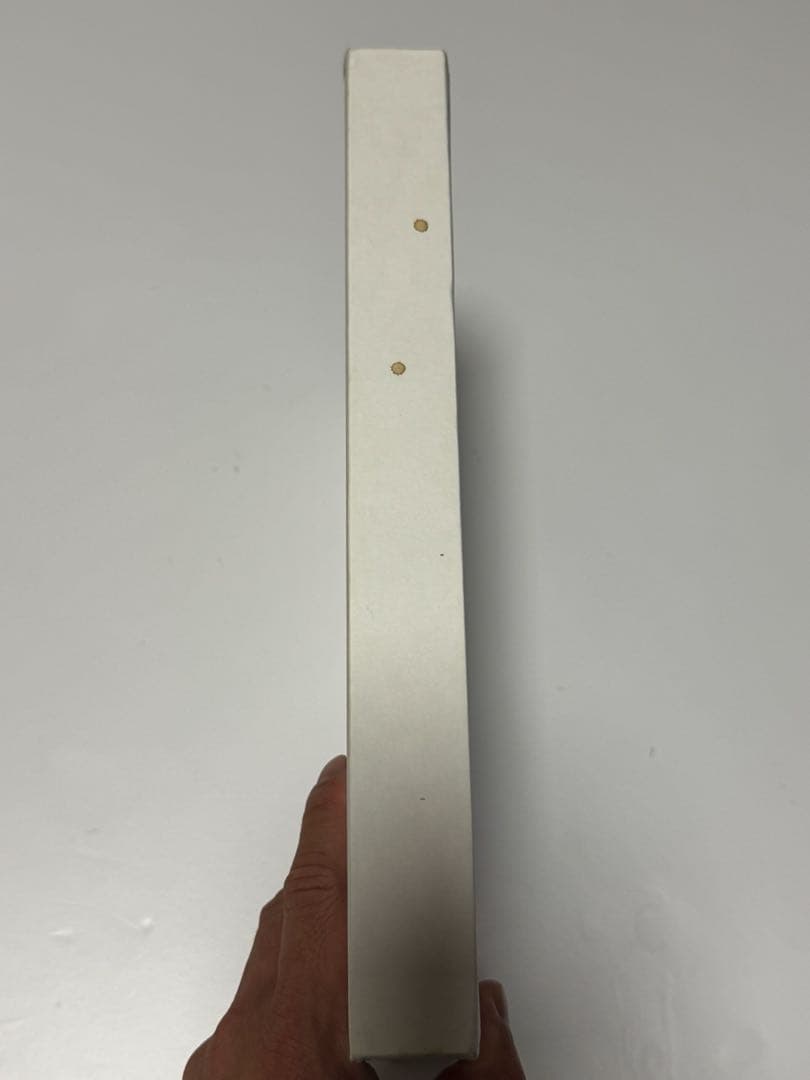 Alexander McQueen Working Process 洋書　希少