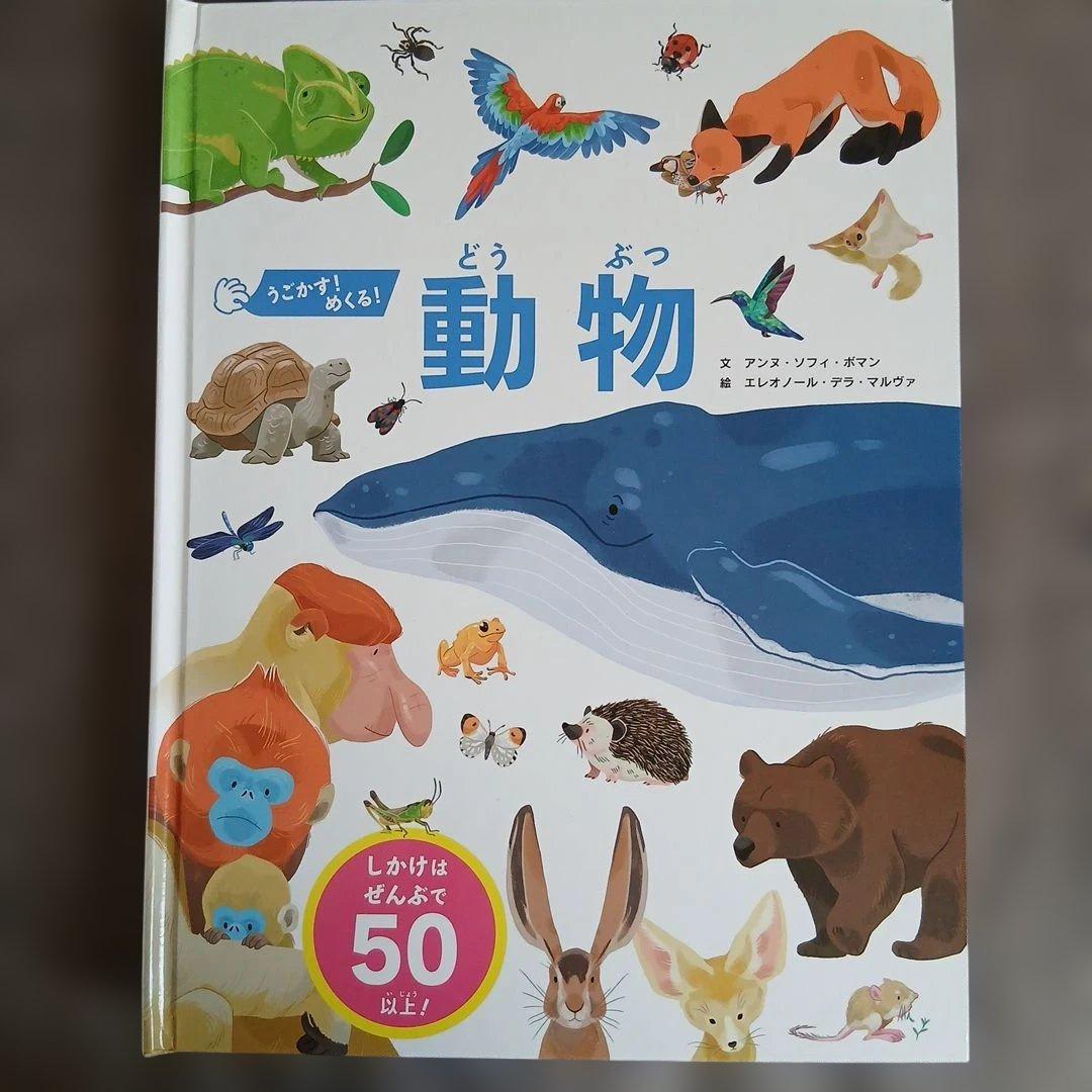 まとめ売り　絵本　仕掛け絵本　どうぶつ　せかい地図　恐竜大行進　のりものずかん