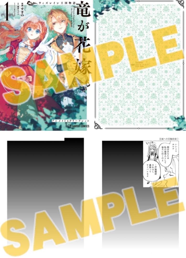 特典 初版 ウィズレイン王国物語 竜が花嫁 すぎの 特典 2点 アニメイト