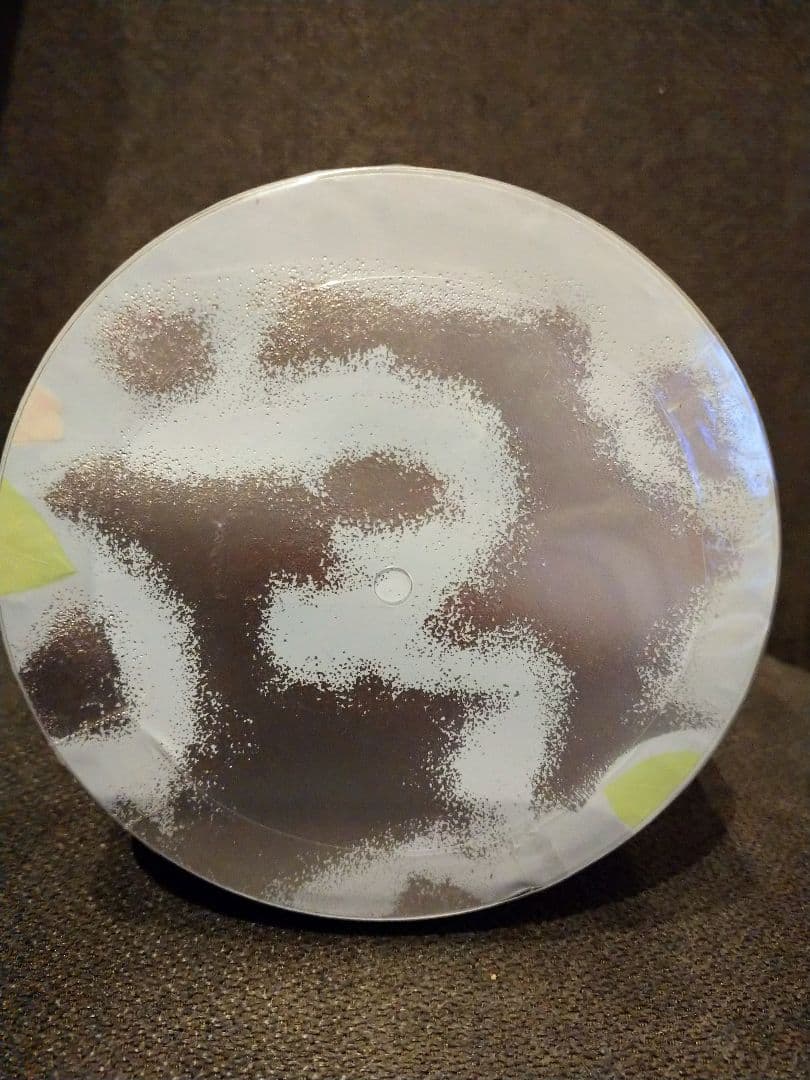 SHISEIDO 資生堂香水ホワイトローズ ナチュラル 32ml薔薇