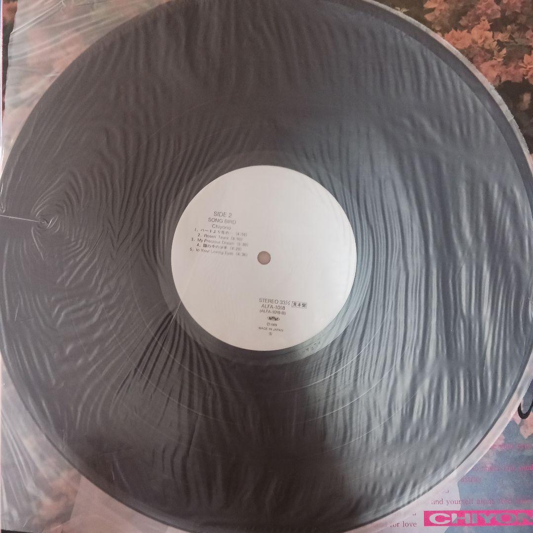 CHIONO Song Bird レコード　見本盤