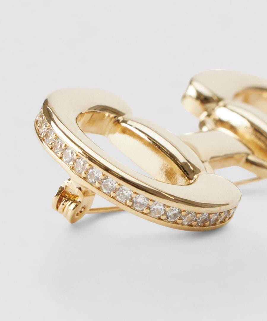 【新品未使用】ANAYI ホースビットビジューブローチ　完売　アナイ