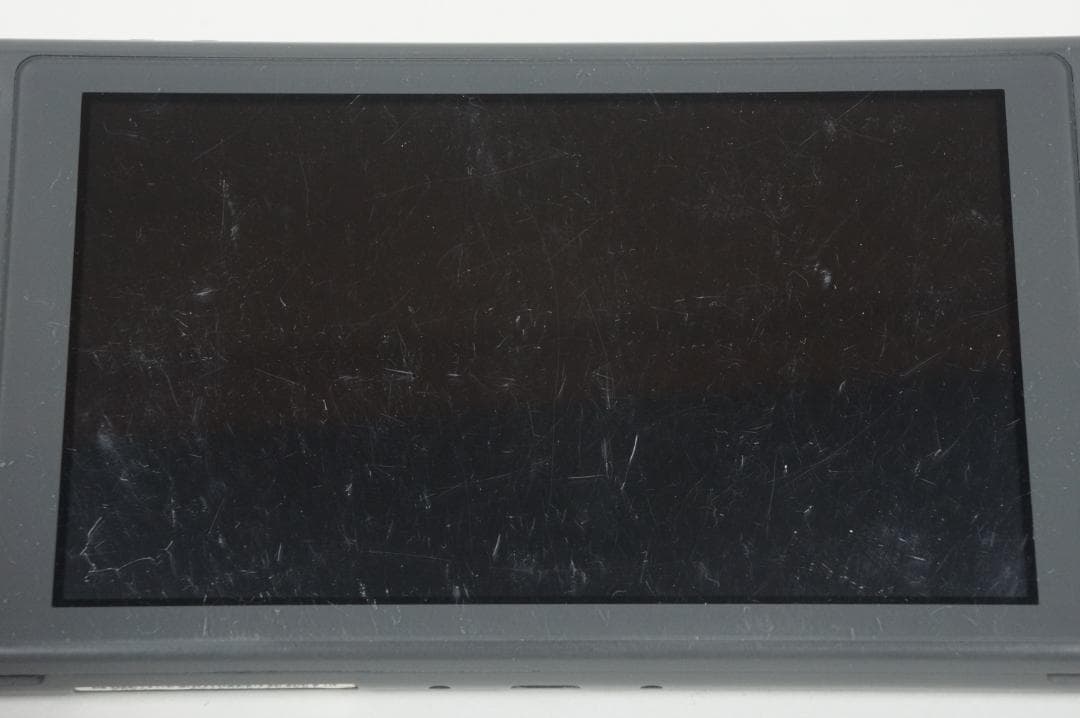 【動作品】ニンテンドースイッチライト グレー 本体 Switch Lite 2