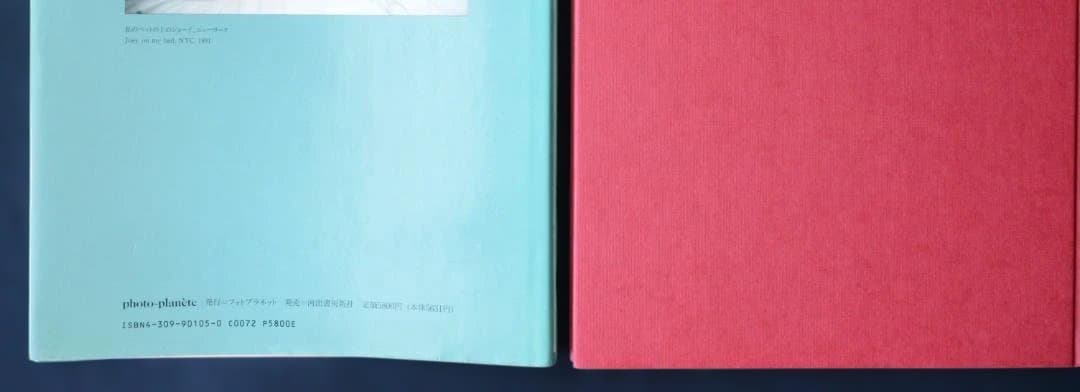 【THE OTHER SIDE: ナン・ゴールディン写真集】1993年初版第一刷