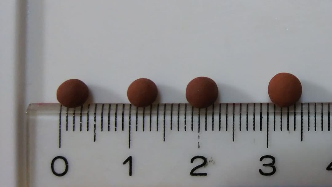 (天降石)セラミック