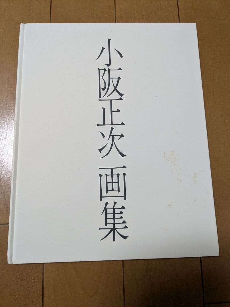 小阪正次 花瓶と花 F4 絵画と画集本
