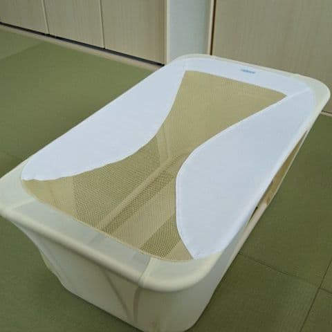 トコちゃんベルトの青葉 ネオモック